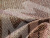 Угловой диван Версаль правый угол (Серый\Коричневый)