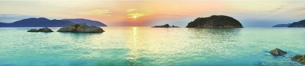 Стеновая панель SP-119