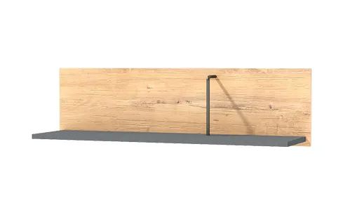 Полка ПЛ-2 Лион