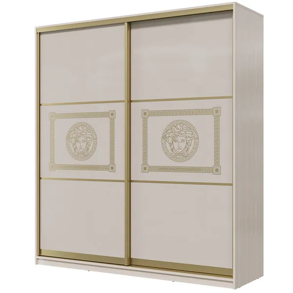 Шкаф-купе Премиум (стекло лакобель с печатью) 1,6 м (вариант 2)