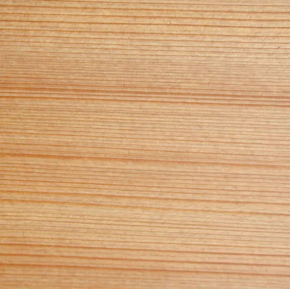 древесина лиственницы древесина лиственницы