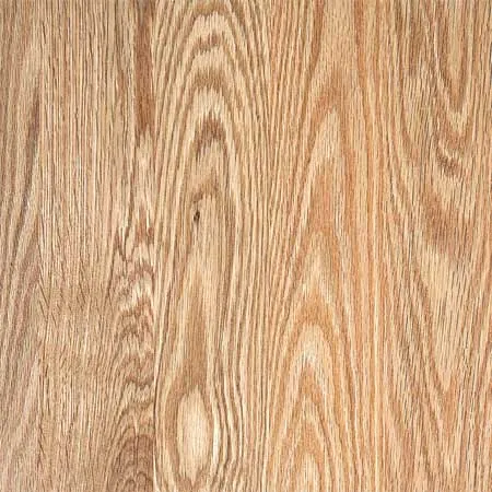 древесина дуба древесина дуба