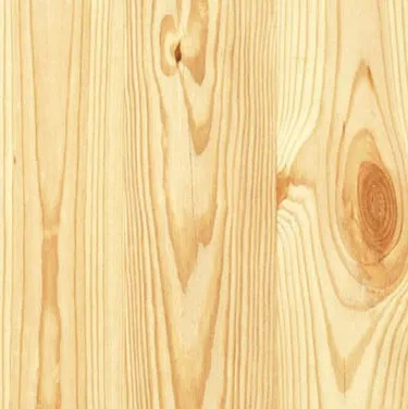 древесина сосны