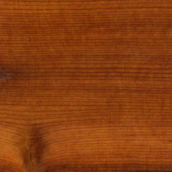 древесина тиса древесина тиса