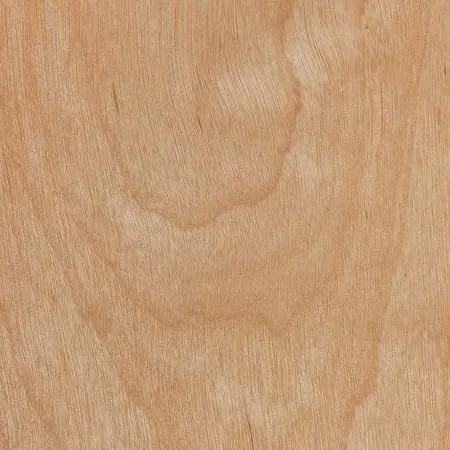 древесина березы древесина березы