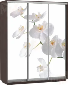 Шкаф-купе Экспресс Фото трио 2100 Орхидеи