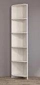 Стеллаж Угловой Иннэс 6