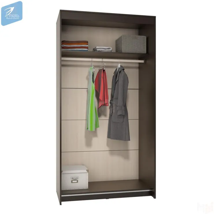 Шкаф-купе Эва ШК-016