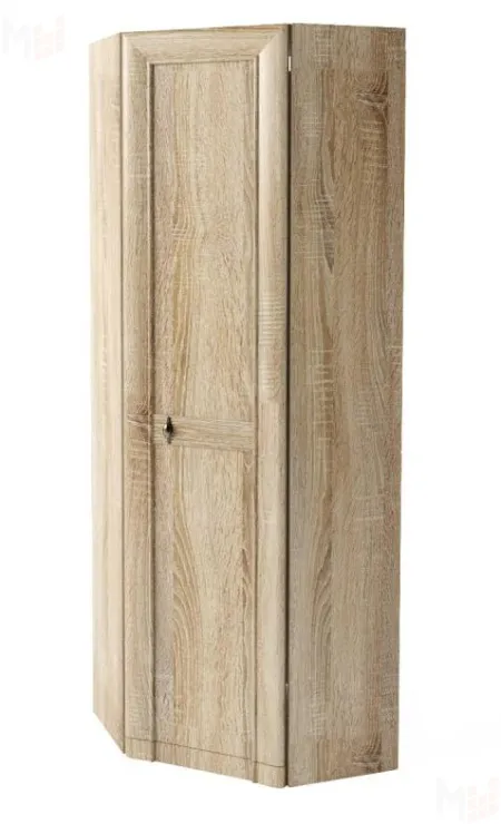 Прихожая 24 Шкаф угловой №194 (ель)