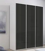 Шкаф-купе Прайм 3-х дверный Черное стекло 210 см