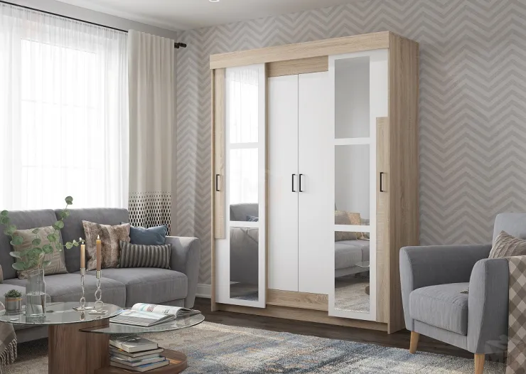 Шкаф-купе Виктор с зеркалом