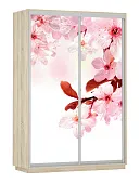 Шкаф-купе Фото дуо 1400 Сакура (2200)