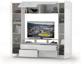 Гостиная Румба Шкаф комбинированный 03.272