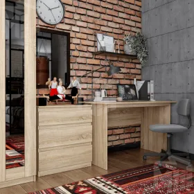 2.03.06.020.3 КАСТОР стол письменный 120х65 RU сонома