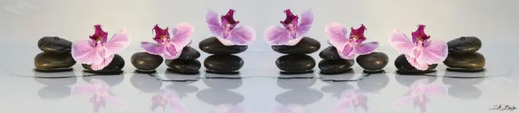 Стеновая панель SP-035