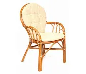 Стул из ротанга с подушкой 04/16