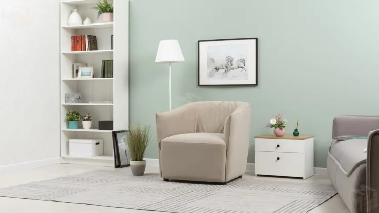 Кресло для отдыха Флэш ТК 573