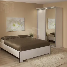 Шкаф-купе 202 Домашний