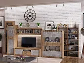 Гостиная Терра, вариант 3 (сонома/бетон темный)