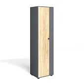 Шкаф Мини-Лайт МЛ-2 Дуб крафт золотой/графит