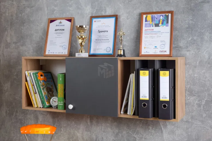 Детская ЛОЙС 2