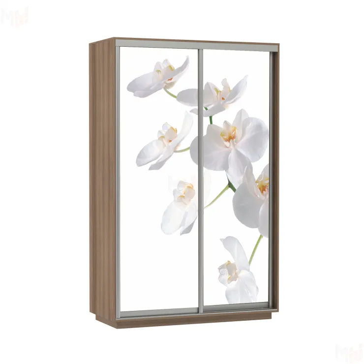 Шкаф-купе Фото дуо 1200 Орхидеи (2200)