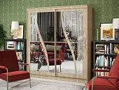 Шкаф-купе Элегант №2 (2000)