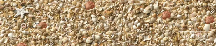 Стеновая панель с фотопечатью SP-020