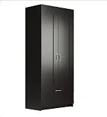 Шкаф Сириус 2 двери 1 ящик (венге)