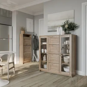 2.02.03.400.3 СИРИУС тумба 2 двери со стеклом и 4 ящика 117х123 сонома RU