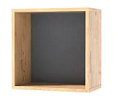 Полка ПЛ-1 Лион