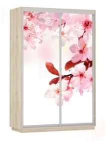 Шкаф-купе Фото дуо 1200 Сакура (2200)