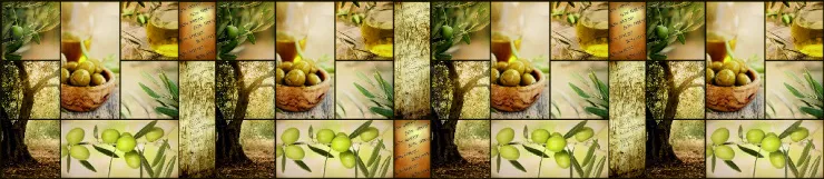 Стеновая панель с фотопечатью FM-06