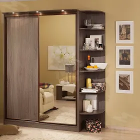 Шкаф-купе 202 Домашний