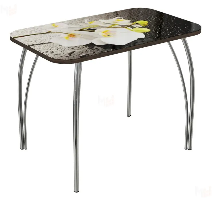 Стол прямоугольный с фотопечатью Орхидея белая, ноги чайка