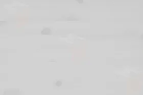 Кровать из массива Тирана 160*200 белая