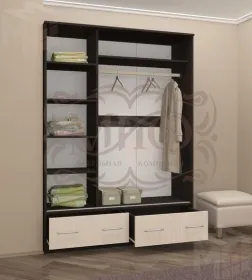 Шкаф-купе Модерн №2 Сакура