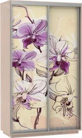 Шкаф-купе Экспресс Фото дуо 1600 Лондон (2200)