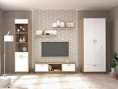 Гостиная Эго Дуб Крафт/Белый Глянец Вариант 1