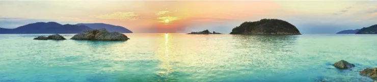 Стеновая панель SP-119