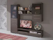 Гостиная Эколь-03 (шоколад/венге)