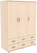 Шкаф для одежды ГАРУН-К 413.08