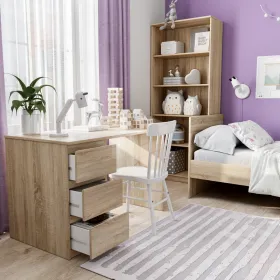 2.03.06.090.3 КАСТОР стол письменный 3 ящика 116х65 RU сонома