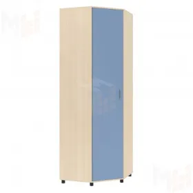 Угловой шкаф Дельта - 1