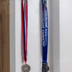 Шкаф МЦН ЛОЙС 85