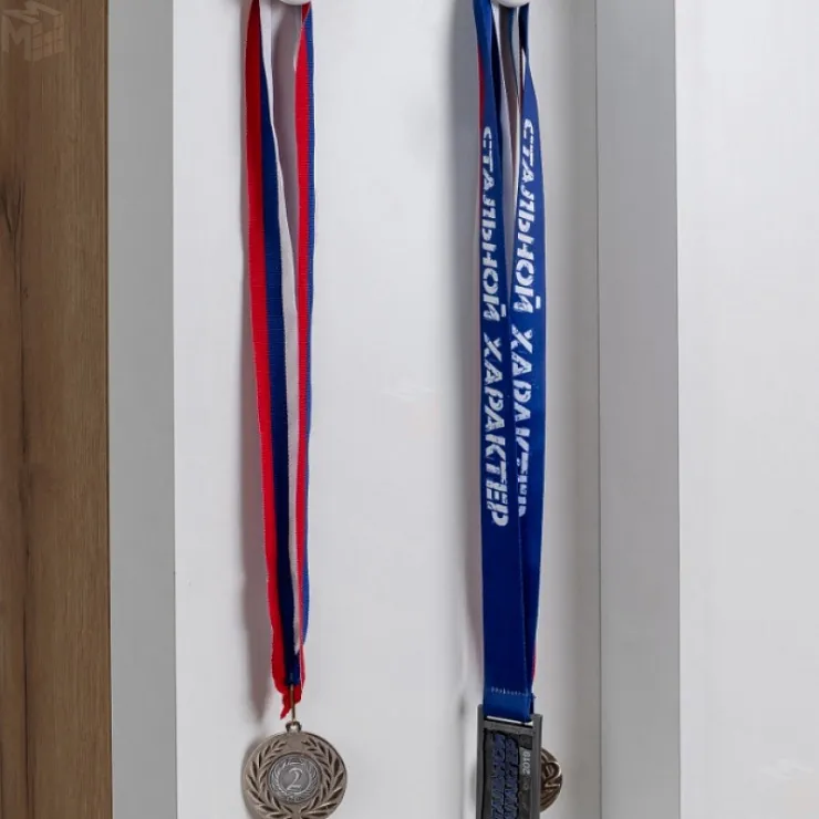 Шкаф МЦН ЛОЙС 85