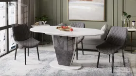 Стол обеденный Монреаль Тип 1 Белый глянец, Моод темный