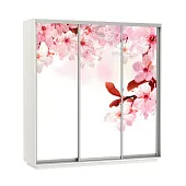 Шкаф-купе Экспресс Фото трио Сакура 1800