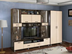 Гостиная Аллегро 4 со шкафом Венге/Дуб Белфорд