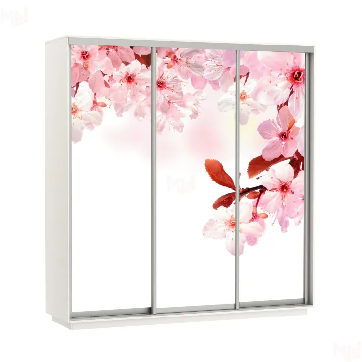 Шкаф-купе Экспресс Фото трио Сакура 1800